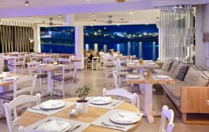 Blue Myth Restaurant Mykonos (6)